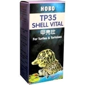 32597